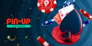  Pin-Up Kumar Enterprise Sitesi: İnceleme ve İşletme Hakkında 